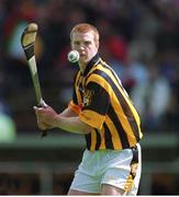 9 June 2002; Henry Shefflin, Kilkenny, hurling. Picture credit; Ray McManus/ SPORTSFILE