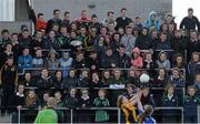24 March 2015; A general view of spectators during the game. TESCO All Ireland PPS Junior B Final, St Michael's Lurgan, Armagh, v John the Baptist, Limerick. Kinnegad, Westmeath. Picture credit: Piaras O Midheach / SPORTSFILE
