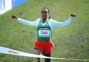 30 March 2008; Ethiopia's Genzebe Dibaba celebrates as she crosses the finish line to win the junior women's race. 36th IAAF World Cross Country Championships, Holyrood Park, Edinburgh, Scotland. Picture credit: Pat Murphy / SPORTSFILE