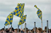 24 March 2015; St Michael's Lurgan supporters wave flags during the game. TESCO All Ireland PPS Junior B Final, St Michael's Lurgan, Armagh, v John the Baptist, Limerick. Kinnegad, Westmeath. Picture credit: Piaras O Midheach / SPORTSFILE
