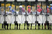 30 March 2008; Horses and jockeys await a runner in the newmarketracecourse.co.uk Maiden. The Curragh Racecourse, Co. Kildare. Picture credit; Ray McManus / SPORTSFILE