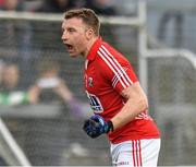 29 March 2015; Brian Hyrley, Cork, celebrates after scoring the winning goal against Mayo. Allianz Football League, Division 1, Round 6, Cork v Mayo. Páirc Uí Rinn, Cork. Picture credit: Matt Browne / SPORTSFILE
