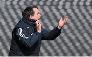 29 March 2015; Clare manager Davy Fitzgerald near the end of the game. Allianz Hurling League, Division 1A, Relegation Play-off, Kilkenny v Clare. Nowlan Park, Kilkenny. Picture credit: Ray McManus / SPORTSFILE