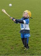 29 March 2015; JJ Flanagan, aged 4, from Tramore, playing on the pitch after the game. Allianz Hurling League, Division 1, Quarter-Final, Waterford v Galway. Walsh Park, Waterford. Picture credit: Piaras Ó Mídheach / SPORTSFILE