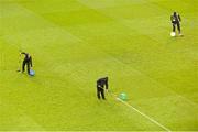 29 March 2015; Ground staff remove pitch markings after the game ahead of next week's European Rugby Champions Cup Quarter-Final between Leinster and Bath. UEFA EURO 2016 Championship Qualifier, Group D, Republic of Ireland v Poland. Aviva Stadium, Lansdowne Road, Dublin. Picture credit: Ramsey Cardy / SPORTSFILE