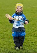 29 March 2015; JJ Flanagan, aged 4, from Tramore, Co. Waterford, playing on the pitch after the game. Allianz Hurling League, Division 1, Quarter-Final, Waterford v Galway. Walsh Park, Waterford. Picture credit: Piaras Ó Mídheach / SPORTSFILE
