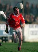 1 February 1998; Aidan Dorgan of Cork during the Church & General National Football League match between Kildare and Cork at St Conleth's Park in Newbridge, Kildare. Photo by Ray McManus/Sportsfile