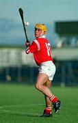 21 May 1995; Barry Egan of Cork during the Munster Senior Hurling Championship Quarter-Final match between Kerry and Cork at Austin Stack Park in Tralee, Kerry. Photo by Brendan Moran/Sportsfile
