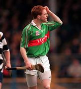 15 February 1998; Barry Whelahan of Birr during the AIB All-Ireland Club Hurling Championship Semi-Final match between Birr and Clarecastle at Semple Stadium in Thurles Tipperary. Photo by Ray McManus/Sportsfile
