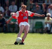 1 June 1997; Colin Kelly of Louth during the Leinster GAA Senior Football Championship Quarter-Final match between Louth and Carlow at St Conleth's Park in Newbridge, Kildare. Photo by Brendan Moran/Sportsfile