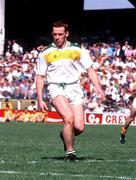 2 July 1989; James Stewart of Offaly during the Leinster Senior Football Championship Semi-Final match between Meath and Offaly at Croke Park in Dublin. Photo by Sportsfile