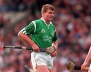 4 September 1994; Ger Hegarty of Limerick during the All-Ireland Senior Hurling Championship Final match between Limerick and Offaly at Croke Park in Dublin. Photo by Ray McManus/Sportsfile