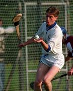 25 May 1997; Ricky Cashin of Laois during the Church & General National Hurling League Division 1 match between Galway and Laois at Kenny Park in Athenry, Galway. Photo by Ray McManus/Sportsfile