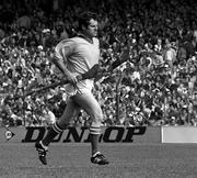 6 September 1981; Damien Martin of Offaly during the All-Ireland Senior Hurling Championship Final match between Offaly and Galway at Croke Park in Dublin. Photo by Connolly Collection/Sportsfile