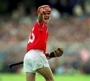 2 July 2000; Sean McGrath of Cork celebrates after scoring a point during the Guinness Munster Senior Hurling Championship Final between Cork and Tipperary at Semple Stadium in Thurles, Tipperary. Photo by Brendan Moran/Sportsfile