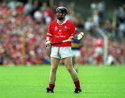 2 July 2000; Wayne Sherlock of Cork during the Guinness Munster Senior Hurling Championship Final between Cork and Tipperary at Semple Stadium in Thurles, Tipperary. Photo by Brendan Moran/Sportsfile
