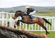 23 April 2008; Here Comes Sally, with Alain Cawley up, jumps the last on their way to winng the Martinstown Opportunity Series Final Handicap Hurdle. Irish National Hunt Festival. Punchestown Racecourse, Co. Kildare. Picture credit; Matt Browne / SPORTSFILE