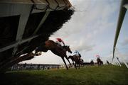 23 April 2008; The runners and riders jump the last during the Martinstown Opportunity Series Final Handicap Hurdle. Irish National Hunt Festival, Punchestown Racecourse, Co. Kildare. Picture credit; Matt Browne / SPORTSFILE