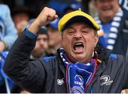 19 April 2015; Leinster supporter Trevor Garrett, from Kilkenny, urges on his side. European Rugby Champions Cup Semi-Final, RC Toulon v Leinster. Stade Vélodrome, Marseilles, France. Picture credit: Stephen McCarthy / SPORTSFILE