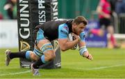 25 April 2015; Adam Ashe, Glasgow Warriors, goes over for his sides fourth and bonus point try. Guinness PRO12, Round 20, Connacht v Glasgow Warriors. Sportsground, Galway. Picture credit: Oliver McVeigh / SPORTSFILE