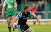 25 April 2015; Adam Ashe, Glasgow Warriors, celebrates after scoring his sides fourth and bonus point try. Guinness PRO12, Round 20, Connacht v Glasgow Warriors. Sportsground, Galway. Picture credit: Oliver McVeigh / SPORTSFILE