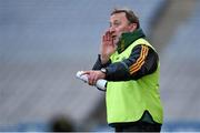 25 April 2015; Offaly manager Pat Flanagan. Allianz Football League, Division 4, Final, Longford v Offaly. Croke Park, Dublin. Photo by Sportsfile