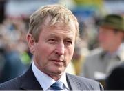 28 April 2015; An Taoiseach Enda Kenny at the day's races. Punchestown Racecourse, Punchestown, Co. Kildare. Picture credit: Matt Browne / SPORTSFILE