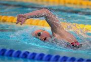 30 April 2015; Antoinette Neamt, Tallaght, competes in the final of the women's 800m freestyle event during the 2015 Irish Open Swimming Championships at the National Aquatic Centre, Abbotstown, Dublin. Picture credit: Stephen McCarthy / SPORTSFILE