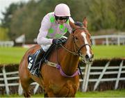 1 May 2015; Faugheen, with Ruby Walsh up, on their way to winning the Queally Group Celebrating 35 Years In Naas Punchestown Champion Hurdle after jumping the last. Punchestown Racecourse, Punchestown, Co. Kildare. Picture credit: Matt Browne / SPORTSFILE