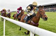 1 May 2015; Nichols Canyon, with Ruby Walsh up, leads the field on the first lap during the Tattersalls Ireland Champion Novice Hurdle. Punchestown Racecourse, Punchestown, Co. Kildare. Picture credit: Cody Glenn / SPORTSFILE
