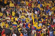 29 May 2008; Colombian fans show their support during the game. International Friendly, Republic of Ireland v Colombia, Craven Cottage, London, England. Picture credit: David Maher / SPORTSFILE *** Local Caption ***