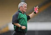 1 June 2008; Referee Cathal Egan. Gala All-Ireland Senior Camogie Championship, Kilkenny v Tipperary, Nowlan Park, Co. Kilkenny. Picture credit: Brian Lawless / SPORTSFILE