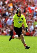 16 July 2000; Armagh goalkeeper Brendan Tierney celebrates at the final whistle following the Bank of Ireland Ulster Senior Football Championship Final match between Armagh and Derry at St Tiernach's Park in Clones, Monaghan. Photo by David Maher/Sportsfile