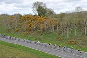 4 May 2015; A general view of the action as the peloton approach Cookstown during the fourth stage of the AmberGreen Energy Tour of Ulster. 150 elite cyclists from Australia, Holland, Belgium, France, England, Scotland, Northern Ireland and the Republic of Ireland compete in Stage 4 of the AmberGreen Energy Tour of Ulster in partnership with the SDS Group and Saltmarine Cars. Stage 4 is a circuit race around Cookstown taking the cyclists through William Street - Orritor Road - Tulnacross Road - Flo Road - Omagh Road - Tullagh Road  - Fairhill Road - James Street - William Street - Cookstown. Picture credit: Stephen McMahon / SPORTSFILE