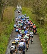 4 May 2015; A general view of the action as the peloton approach Cookstown during the fourth stage. 150 elite cyclists from Australia, Holland, Belgium, France, England, Scotland, Northern Ireland and the Republic of Ireland compete in Stage 4 of the AmberGreen Energy Tour of Ulster in partnership with the SDS Group and Saltmarine Cars. Stage 4 is a circuit race around Cookstown taking the cyclists through William Street â€“ Orritor Road â€“ Tulnacross Road â€“ Flo Road â€“ Omagh Road â€“ Tullagh Road â€“ Fairhill Road â€“ James Street â€“ William Street â€“ Cookstown. Picture credit: Stephen McMahon / SPORTSFILE