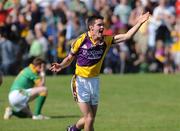 1 June 2008; Shane Roche, Wexford, celebrates at the final whistle as Niall Murphy, Meath, drops to his knees. GAA Football Leinster Senior Championship Quarter-Final, Meath v Wexford, Dr. Cullen Park, Carlow. Picture credit: Matt Browne / SPORTSFILE