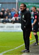 11 May 2015; Pat Fenlon, Shamrock Rovers manager. SSE Airtricity League Premier Division, St Patrick's Athletic v Shamrock Rovers. Richmond Park, Dublin. Picture credit: David Maher / SPORTSFILE