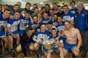 3 May 2015; Waterford players and officials celebrate in the dressing room. Allianz Hurling League, Division 1 Final, Cork v Waterford. Semple Stadium, Thurles, Co. Tipperary. Picture credit: Ray McManus / SPORTSFILE