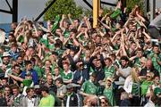 24 May 2015; Limerick supporters on the 'Town End' terrace celebrate after the game. Munster GAA Hurling Senior Championship Quarter-Final, Clare v Limerick. Semple Stadium, Thurles, Co. Tipperary. Picture credit: Ray McManus / SPORTSFILE