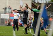 24 May 2015; Clare manager Davy Fitzgerald signals for a line ball, as Limerick manager TJ Ryan shows his disappointment. Munster GAA Hurling Senior Championship Quarter-Final, Clare v Limerick. Semple Stadium, Thurles, Co. Tipperary. Picture credit: Dáire Brennan / SPORTSFILE