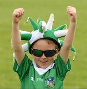 24 May 2015; Limerick supporter Sam Gallahue, aged 6, from Ballylanders, Co. Limerick. Munster GAA Hurling Senior Championship Quarter-Final, Clare v Limerick. Semple Stadium, Thurles, Co. Tipperary. Picture credit: Dáire Brennan / SPORTSFILE