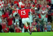 4 June 2000; Sean McGrath of Cork celebrates his first half goal  during the Guinness Munster Senior Hurling Championship Semi-Final match between Cork and Limerick at Semple Stadium in Thurles, Tipperary. Photo by Ray McManus/Sportsfile