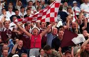 30 July 2000; Westmeath supporters celebrate during the Leinster Minor Football Championship Final between Dublin and Westmeath at Croke Park in Dublin. Photo by John Mahon/Sportsfile