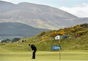 26 May 2015; Ernie Els putts on the 1st green. Dubai Duty Free Irish Open Golf Championship 2015, Practice Day 2. Royal County Down Golf Club, Co. Down. Picture credit: Ramsey Cardy / SPORTSFILE