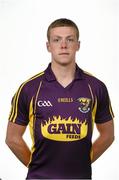 29 May 2015; Aidan Nolan, Wexford. Wexford Hurling Squad Portraits 2015, Wexford Park, Wexford. Picture credit: Stephen McCarthy / SPORTSFILE