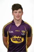 29 May 2015; Conor McDonald, Wexford. Wexford Hurling Squad Portraits 2015, Wexford Park, Wexford. Picture credit: Stephen McCarthy / SPORTSFILE