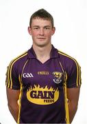 29 May 2015; Ian Byrne, Wexford. Wexford Hurling Squad Portraits 2015, Wexford Park, Wexford. Picture credit: Stephen McCarthy / SPORTSFILE