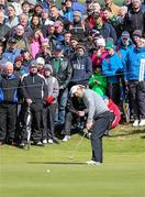 31 May 2015; Padraig Harrington, Ireland, putts on the 7th green. Dubai Duty Free Irish Open Golf Championship 2015, Final Day. Royal County Down Golf Club, Co. Down. Picture credit: John Dickson / SPORTSFILE