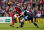 30 May 2015; Billy Holland, Munster, is tackled by Douglas Hall, Glasgow Warriors. Guinness PRO12 Final, Munster v Glasgow Warriors. Kingspan Stadium, Ravenhill Park, Belfast. Photo by Sportsfile