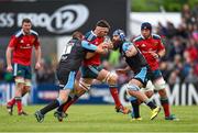 30 May 2015; Billy Holland, Munster, is tackled by Gordon Reid, left, and Josh Strauss, Glasgow Warriors. Guinness PRO12 Final, Munster v Glasgow Warriors. Kingspan Stadium, Ravenhill Park, Belfast. Photo by Sportsfile